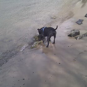 Lekker spelen bij het water!