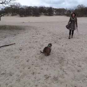 15-04-2012 Karel racet naar Leila