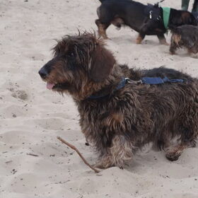 15-04-2012 Oscar