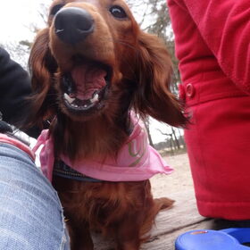 15-04-2012 Yuki met snoepje
