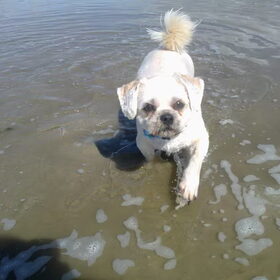 lkkr in de zee