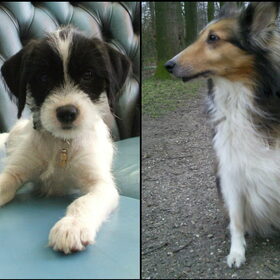 Fien & Shelly !