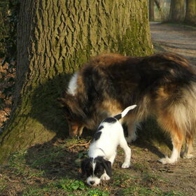 april 2012, in het park