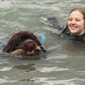 Hondenfoto van Inge, Rottweiler Nika & m'n Canadeesje(s)