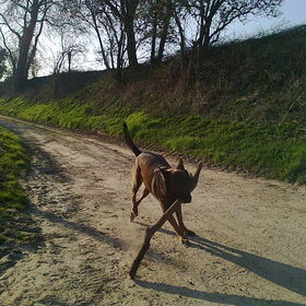 Zora, april 2012