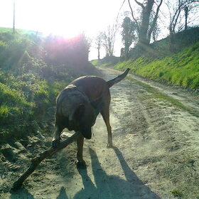 Zora, april 2012