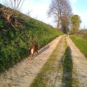 Zora, april 2012
