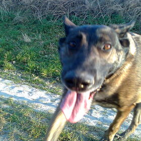Lieve schat Zora, april 2012