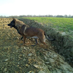 Zora, april 2012