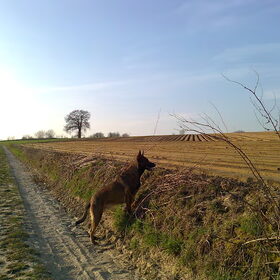 Zora, april 2012