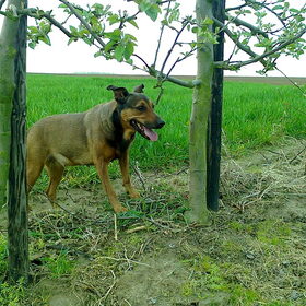 Kylie, april 2012