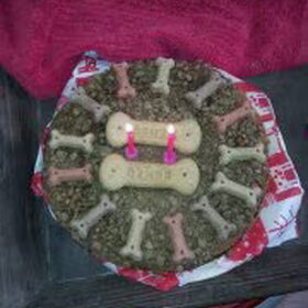 voor missy gemaakt(de buurt hond) die is 2 jaar geworden..