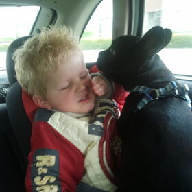 Hondenfoto van Butch&Bella