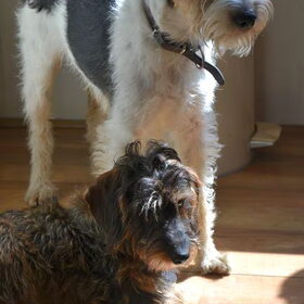 Karel en Floris