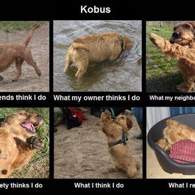 What they think I do