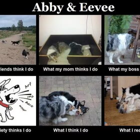 Abby & Eevee