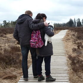 Wandelen op de Haute-Fagne.