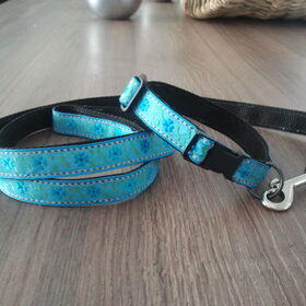 Hondenfoto van Pamela en Dazzle en Gentle