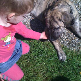 rox en nova