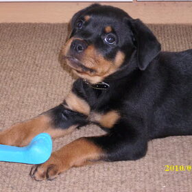 It wasn't me !