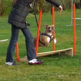Jump 2 the cookiejjj
