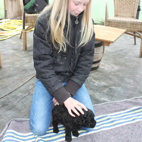Marley 7 weken jong