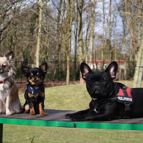 de drie musketiers... :)