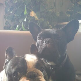 Met dikke vriend Beau.