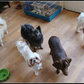 Cloudy, Zazou, Deva, Camila en Sammy