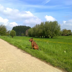Kylie 7 mei 2012