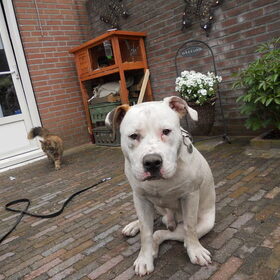 Denzel alweer bijna 9 maanden en heel vies hahahaha