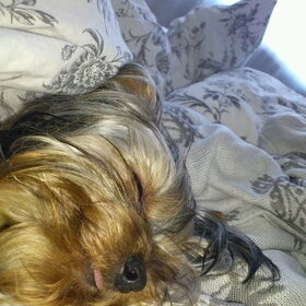 lekker slapen op t grote bed!