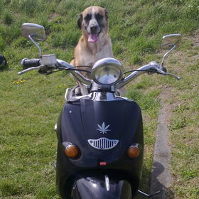 ook tusse me benen