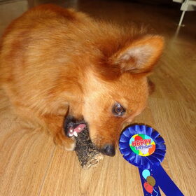 1 jaar:)