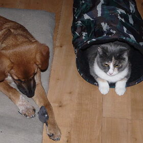 Elah en Yosha, dikke vriendjes!!
