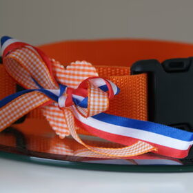Oranje band met accessoire!