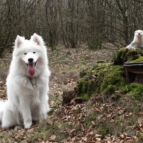 Polar met Mitu