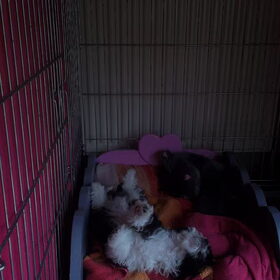 lekker slapen. 14 mei 2012