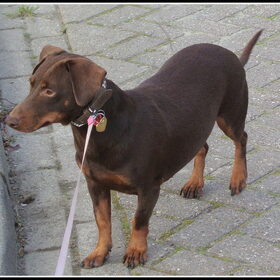 Prinsesje aan de wandel..