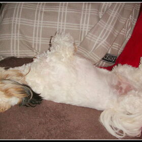 Deep Sleep
