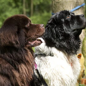 Fedor en Reina op het waterwerkterrein!