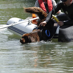 Uit de boot springen, met begeleiding.