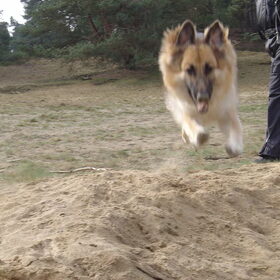 Jump!