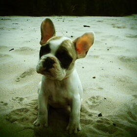mooi meisje 1ste x strand