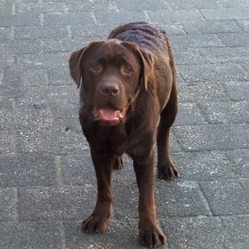 op straat....