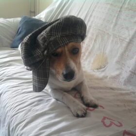 prof jazzy