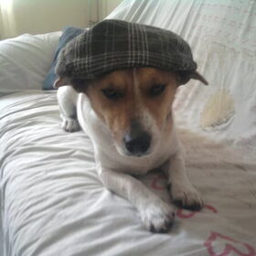 prof jazz