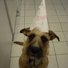 Fennah - 1 jaar!