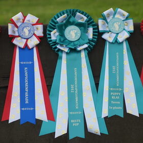 17-mei 2012 Kampioens Clubmatch van de GRCN Onze ''Awards'' op…