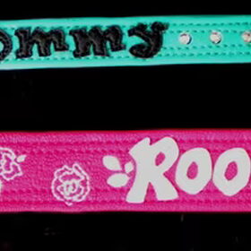 Mooie roze halsband voor deze stoere dame